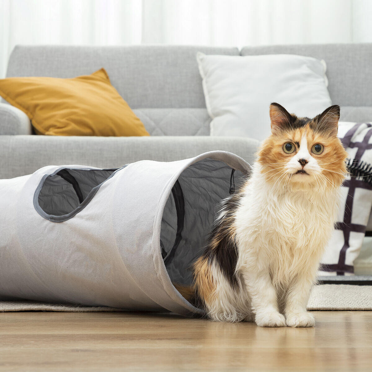 Túnel Plegable para Mascotas Funnyl InnovaGoods – ¡Diversión y ejercicio en cualquier lugar!