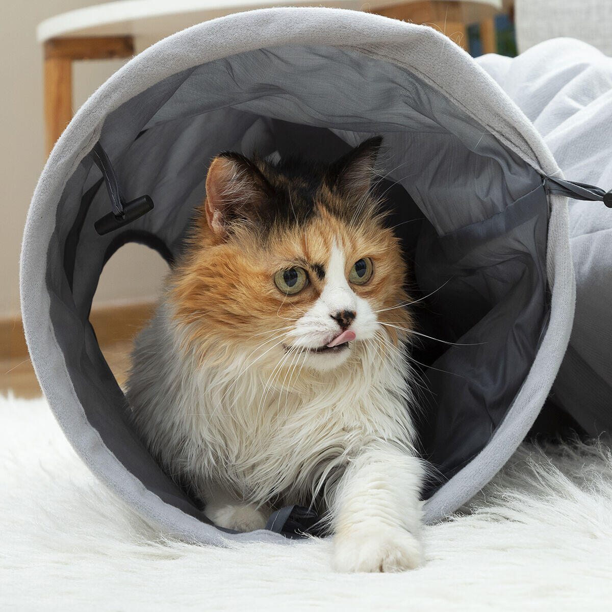 Túnel Plegable para Mascotas Funnyl InnovaGoods – ¡Diversión y ejercicio en cualquier lugar!